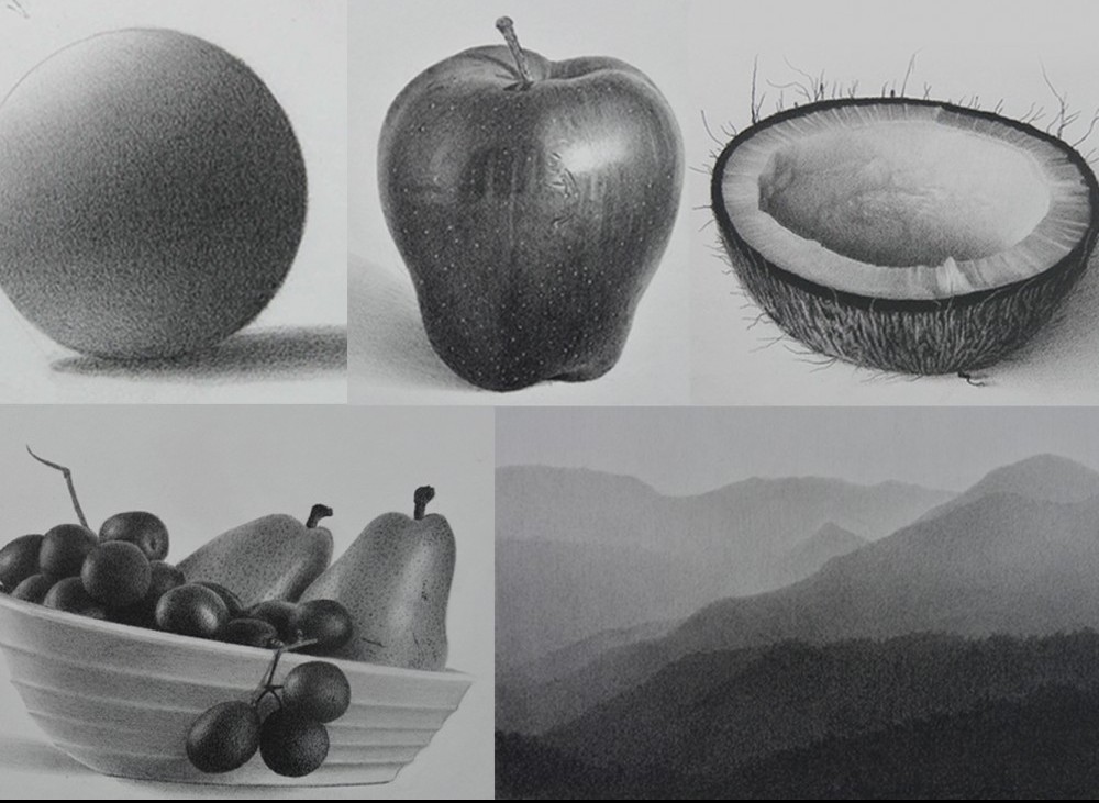 Beginner's Guide on Drawing a Pencil Sketch - Pencil Perceptions