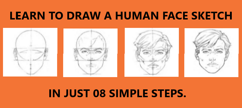 How to Draw Different Nose Types - EasyDrawingTips