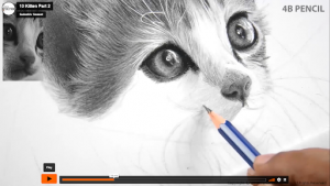 How to Draw a Realistic Cat step 5