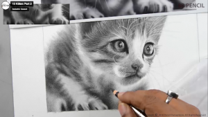 How to Draw a Realistic Cat step 8