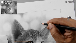 How to Draw a Realistic Cat step 9