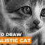 How to draw realistic cat