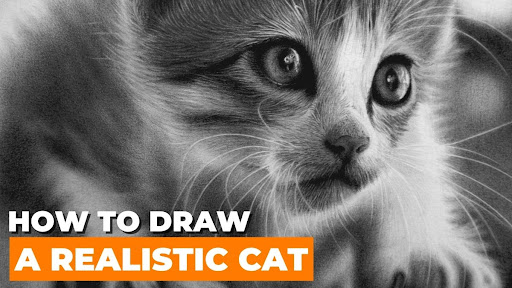 How to draw realistic cat