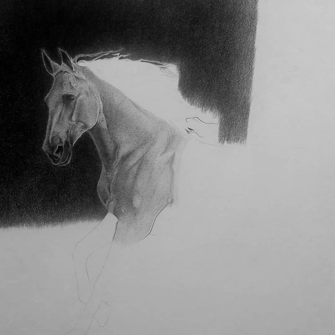 25 Easy Horse Drawing Ideas - How To Draw A Horse - Blitsy