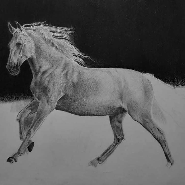 How To Draw A White Horse